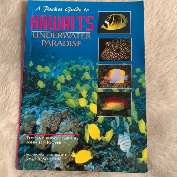 🧚🏿♂️3/$12🧚🏿♂️ Hawaiin Ocean life - Picture 1 of 7